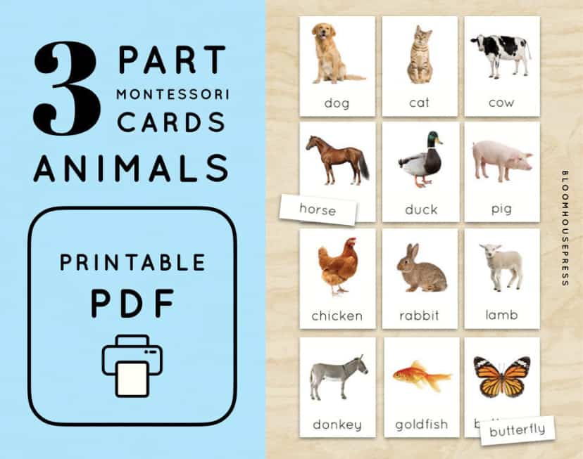 Printable Montessori 3 part cards