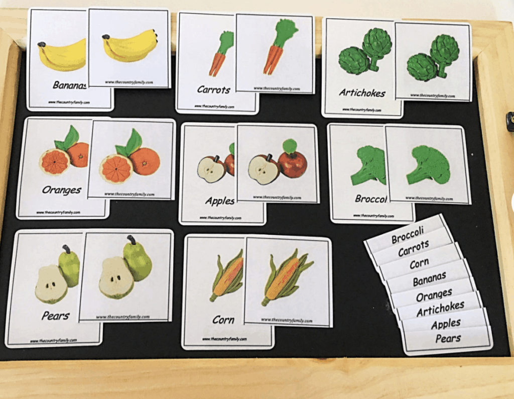 montessori 3 part cards fruit
