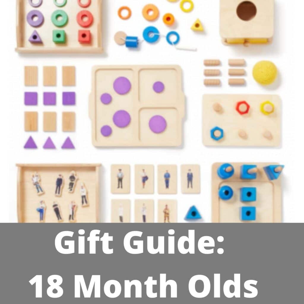 Montessori Gift Guide Ideas for 18 Months Old