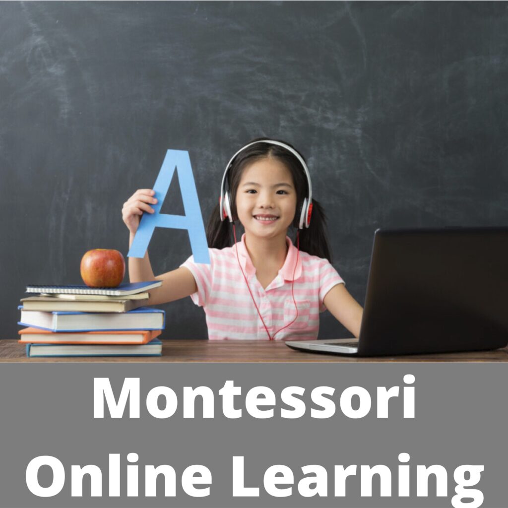 Montessori Online Learning copy