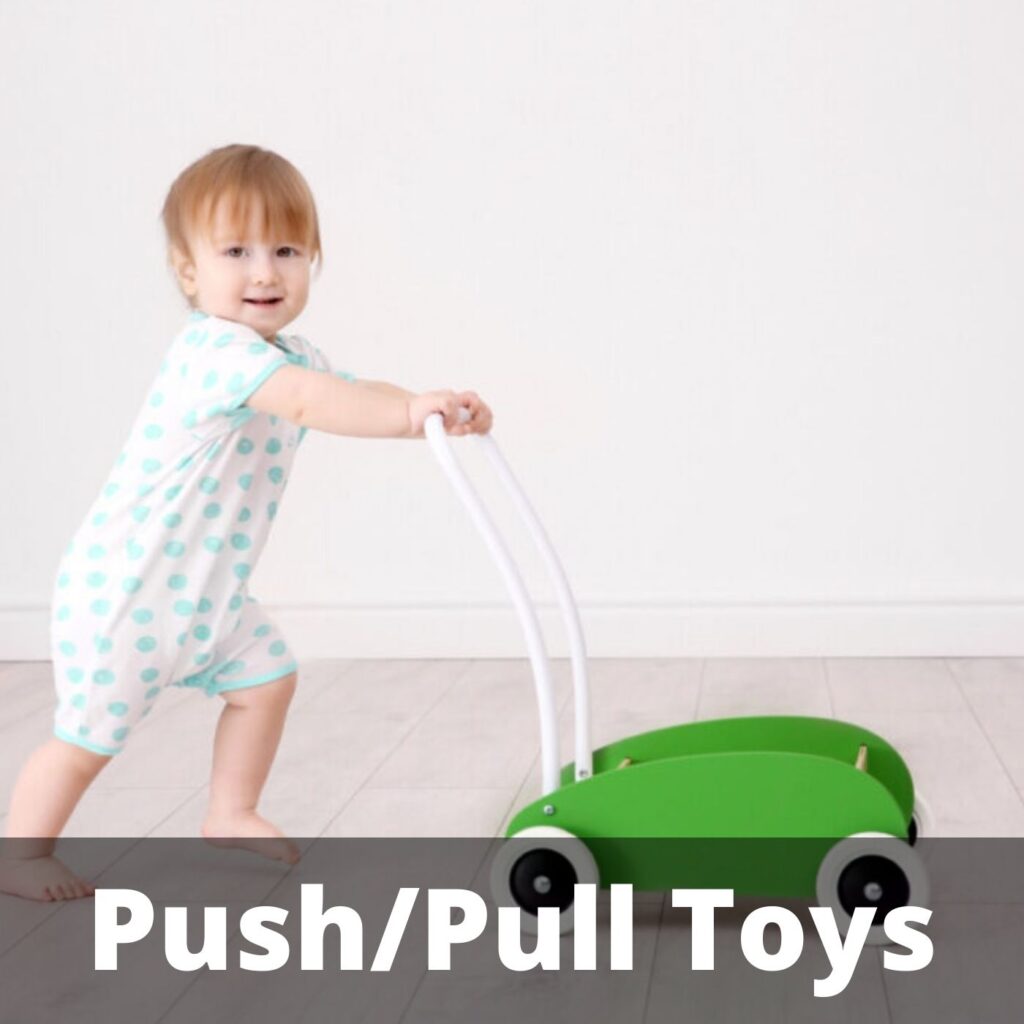 PushPull Toys