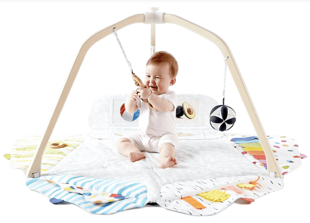 Montessori Gift for Babies Activity Gym and Play Mat for newborns to 12 months