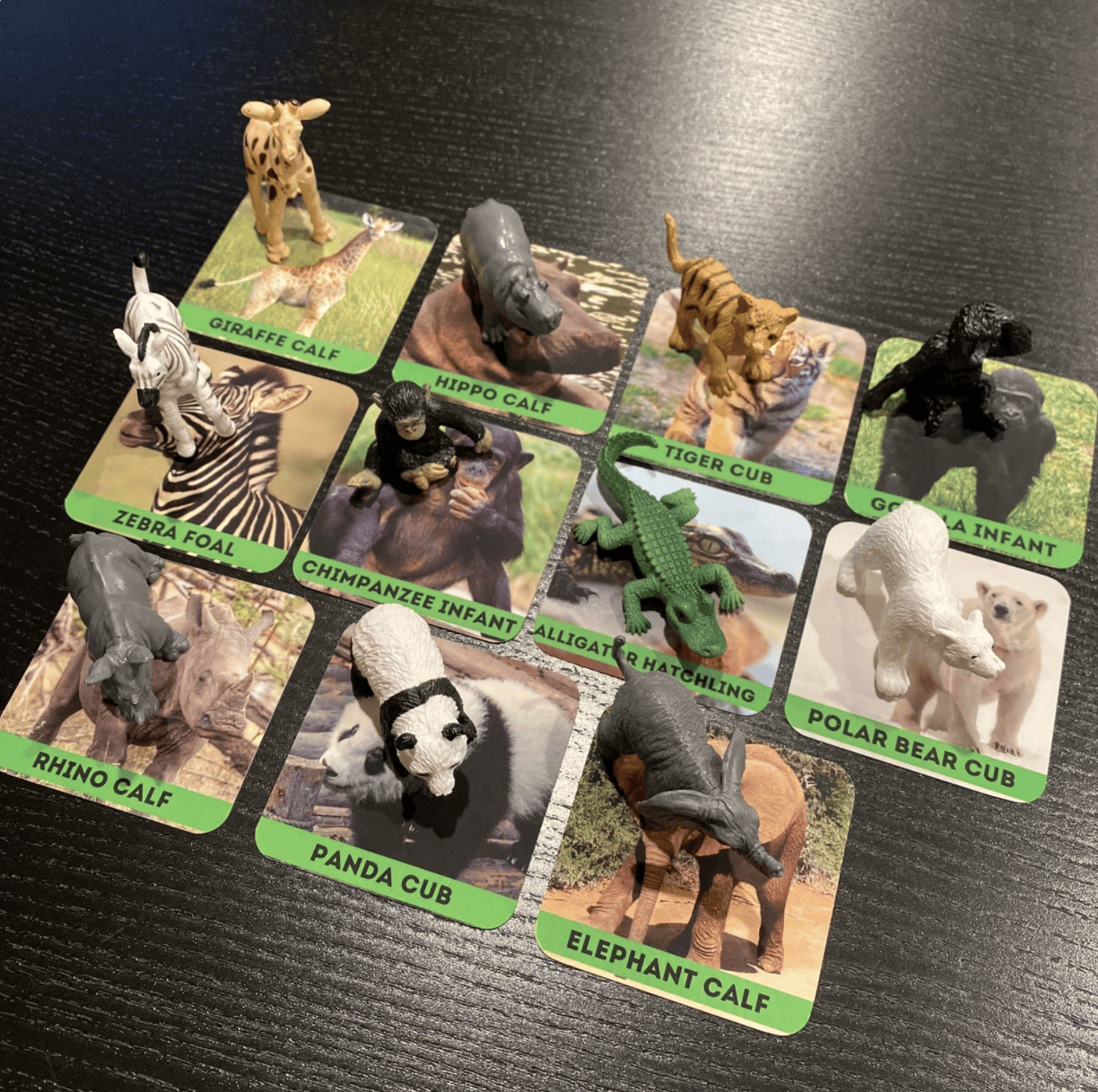 animal sorting matching game