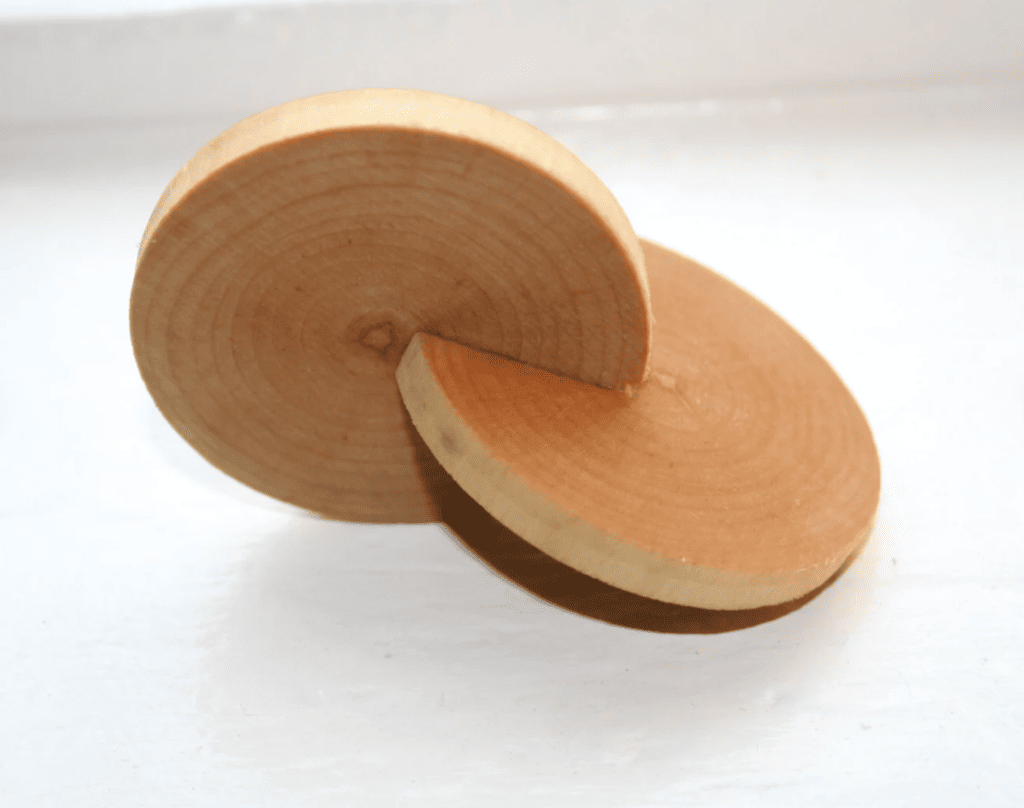 Montessori Interlocking Discs